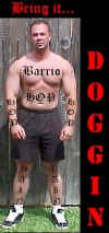DOGGIN